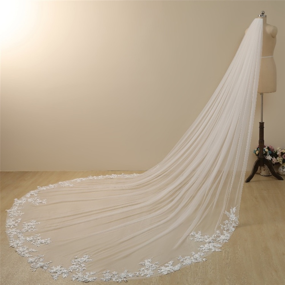 Cathedral length ivory veil